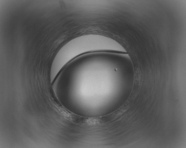 X0000051920762200506241509