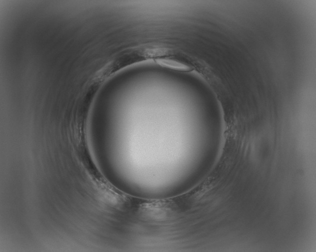 X0000051920763200506241509