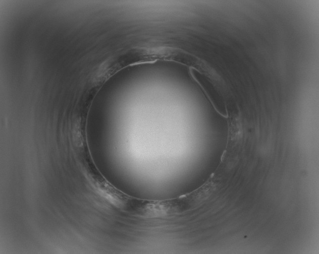 X0000051920764200506241509