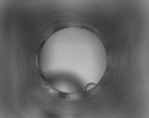 X0000051920765200506241509
