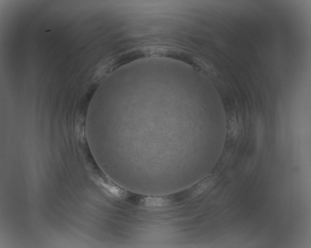 X0000051920766200506241509