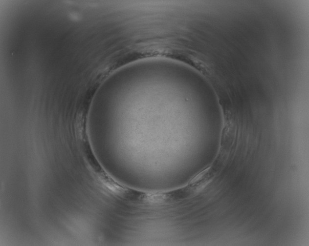 X0000051920767200506241509