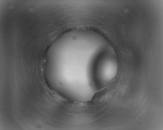 X0000051920768200506241509