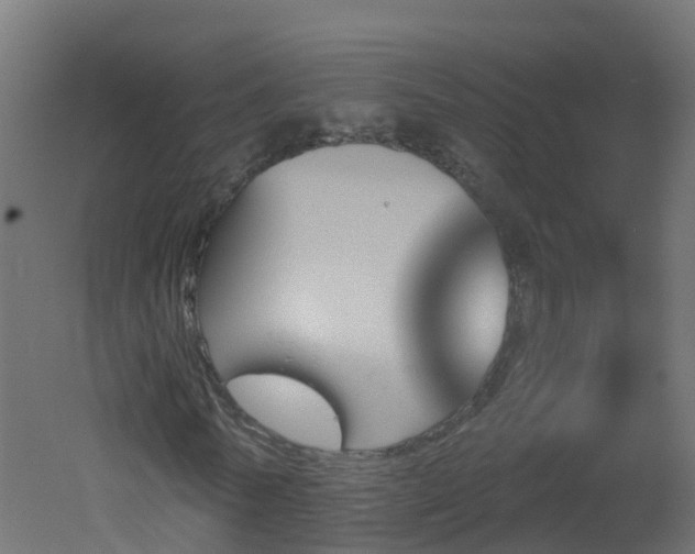 X0000051920770200506241508