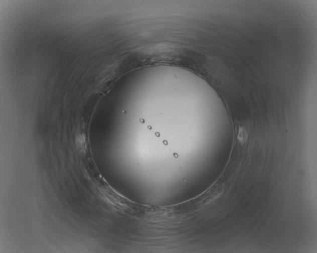 X0000051920771200506241508