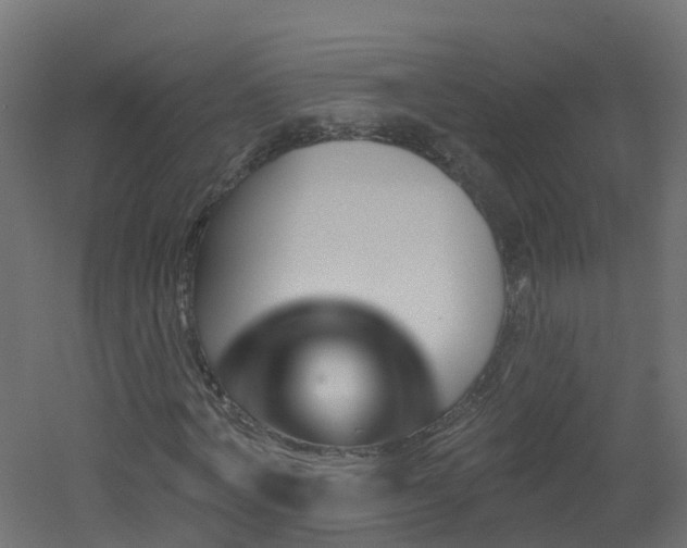 X0000051920772200506241508