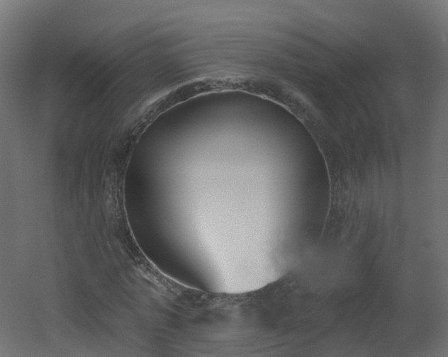 X0000051920773200506241508