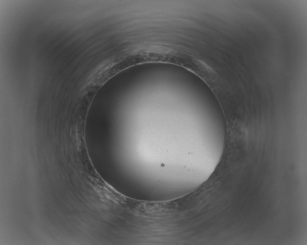 X0000051920774200506241508