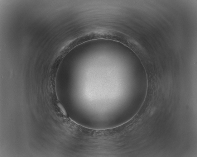 X0000051920776200506241508
