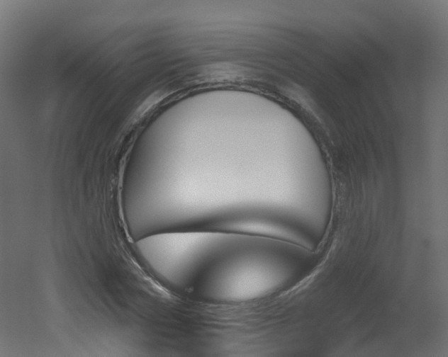 X0000051920778200506241508