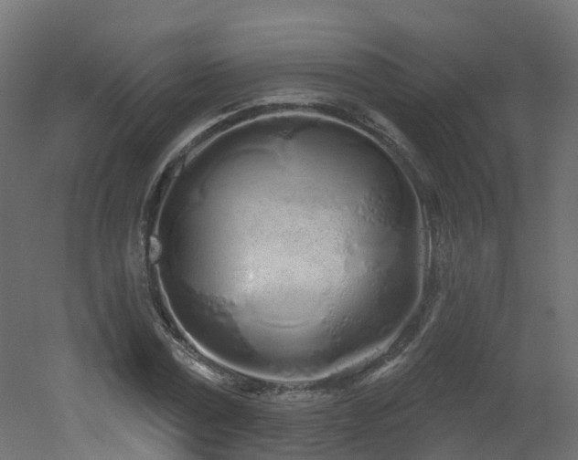 X0000051920779200506241508