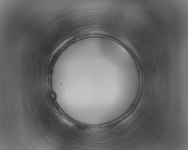 X0000051920782200506241508