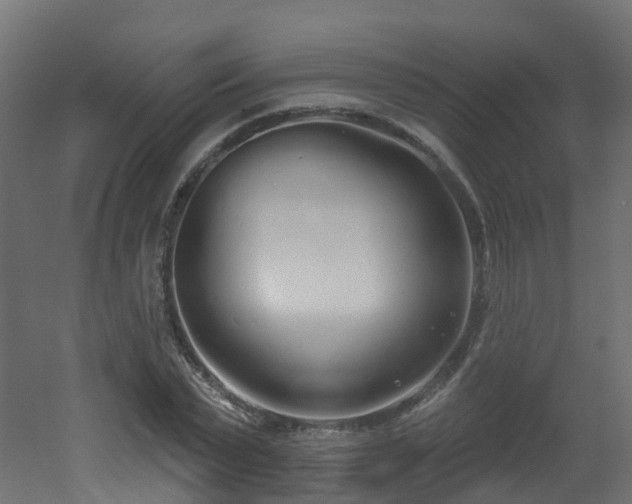 X0000051920783200506241508