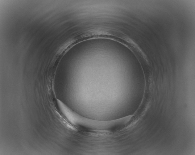 X0000051920785200506241508