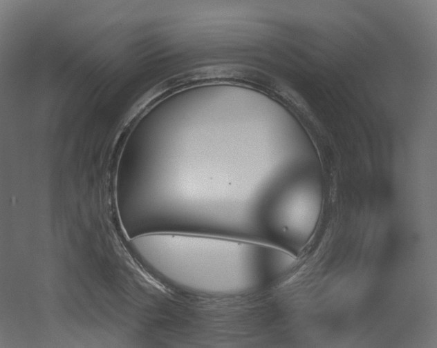 X0000051920786200506241508