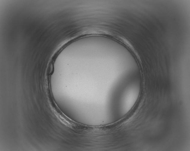 X0000051920787200506241508