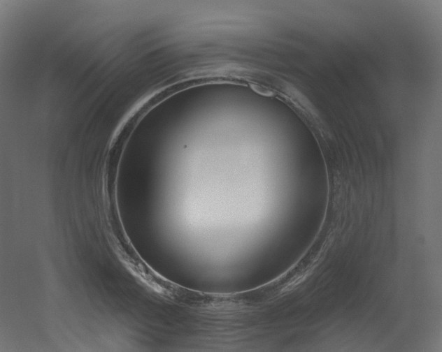 X0000051920788200506241508