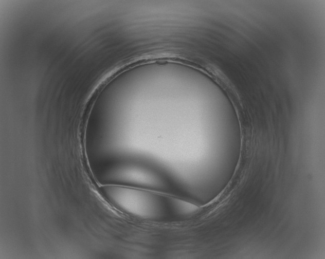 X0000051920789200506241508