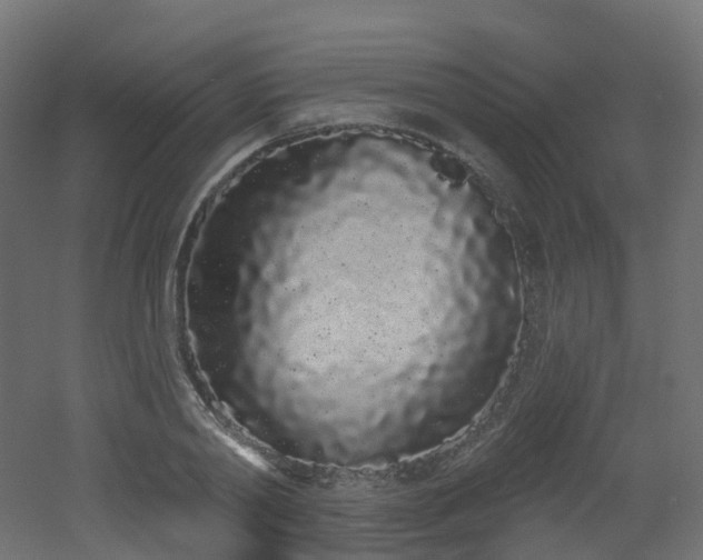 X0000051920790200506241508