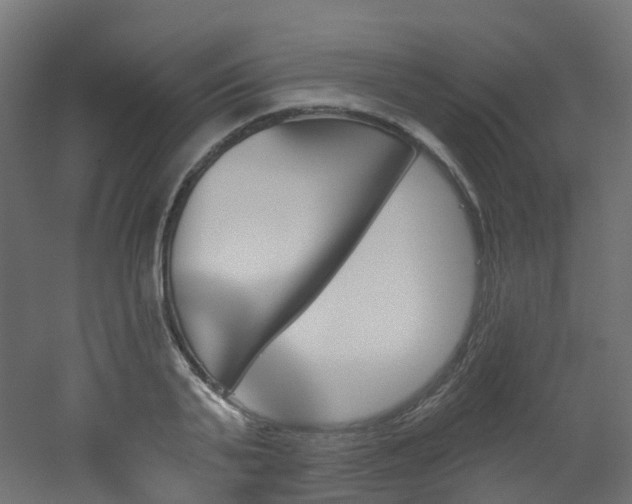 X0000051920791200506241508