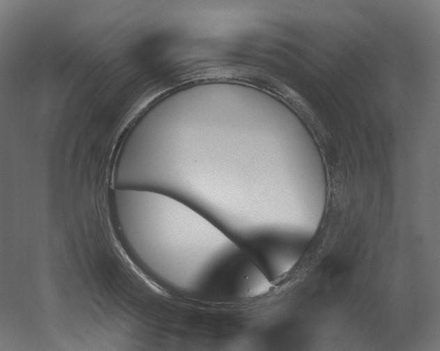 X0000051920794200506241508