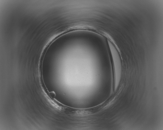 X0000051920795200506241507