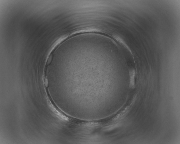 X0000051920797200506241507