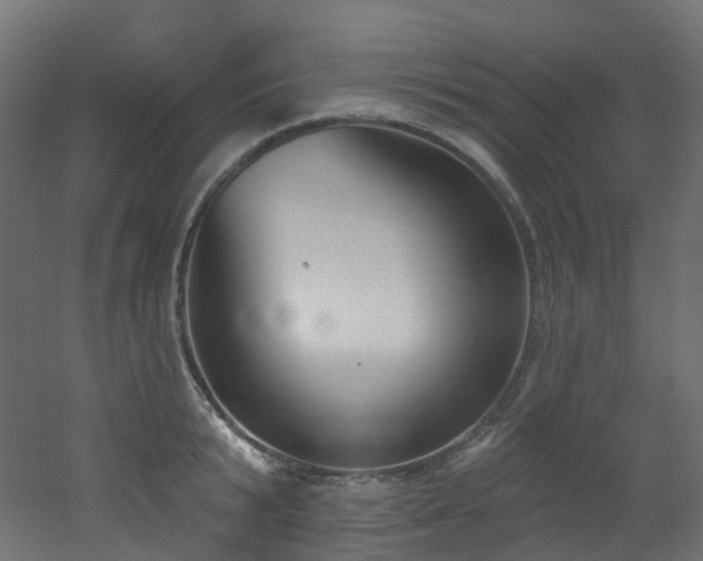 X0000051920799200506241507