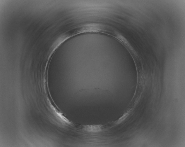 X0000051920802200506241507