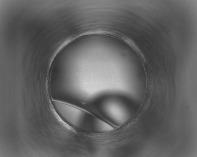 X0000051920805200506241507