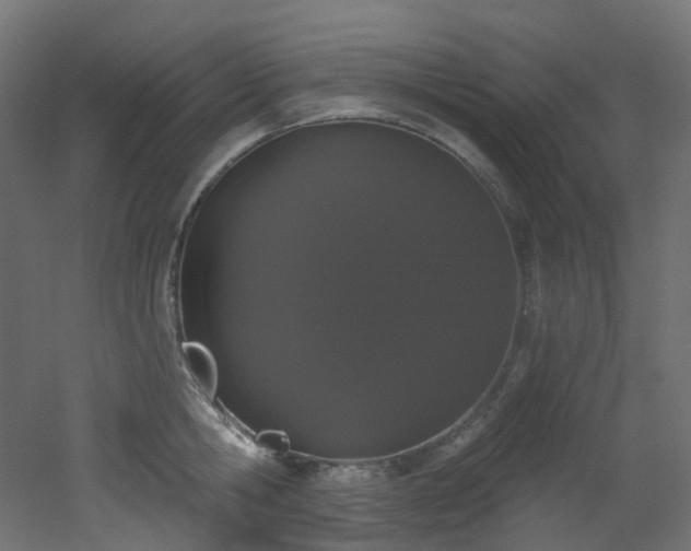 X0000051920806200506241507