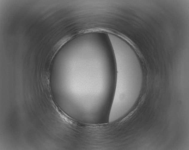 X0000051920809200506241507