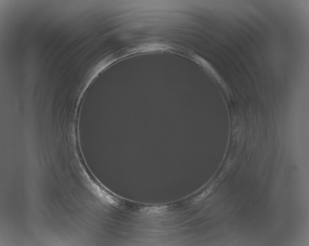 X0000051920810200506241507