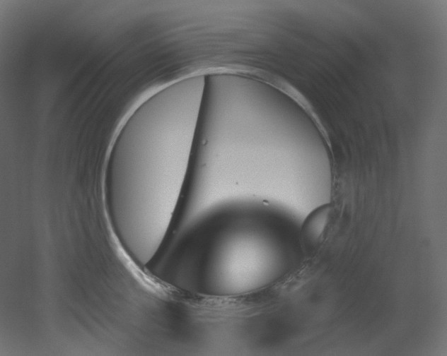 X0000051920811200506241507