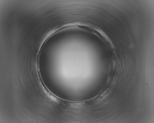 X0000051920813200506241507