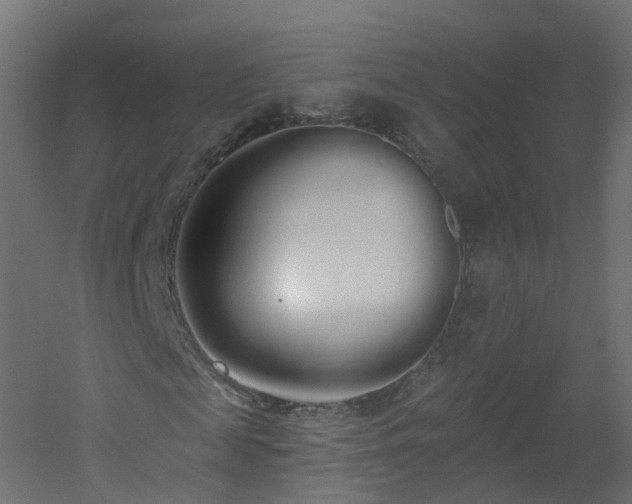 X0000051920817200506241506