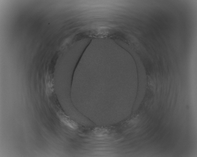 X0000051920818200506241506