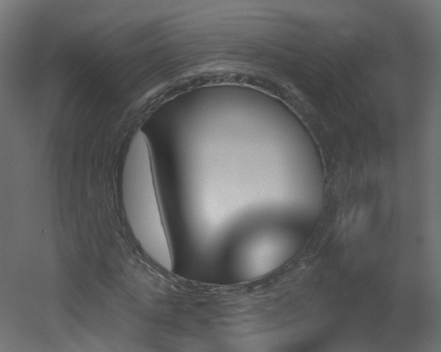 X0000051920821200506241506