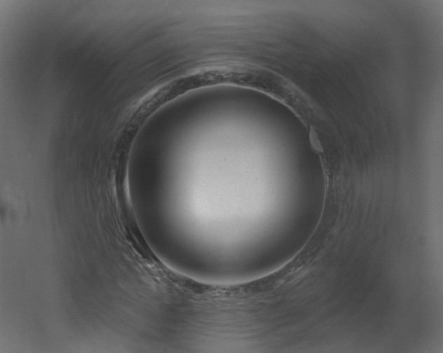 X0000051920822200506241506