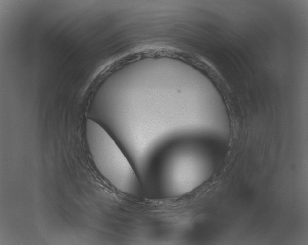 X0000051920823200506241506