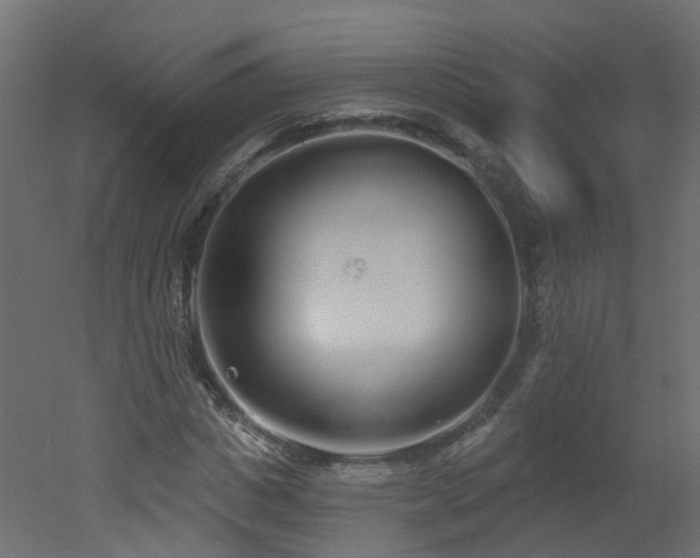 X0000051920825200506241506