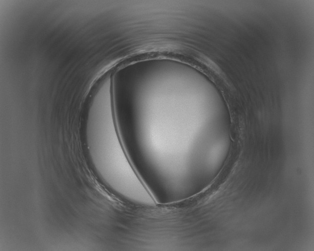 X0000051920826200506241506