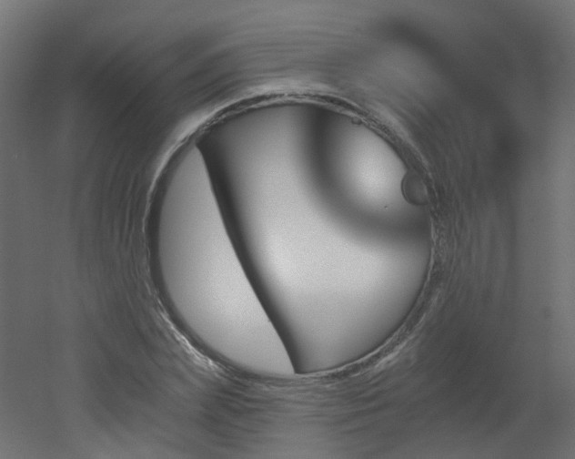 X0000051920831200506241507
