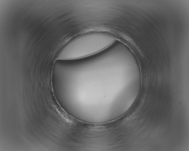 X0000051920833200506241507