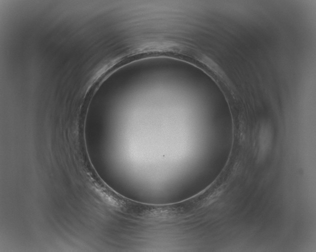 X0000051920834200506241507
