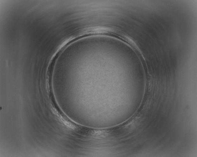 X0000051920835200506241507