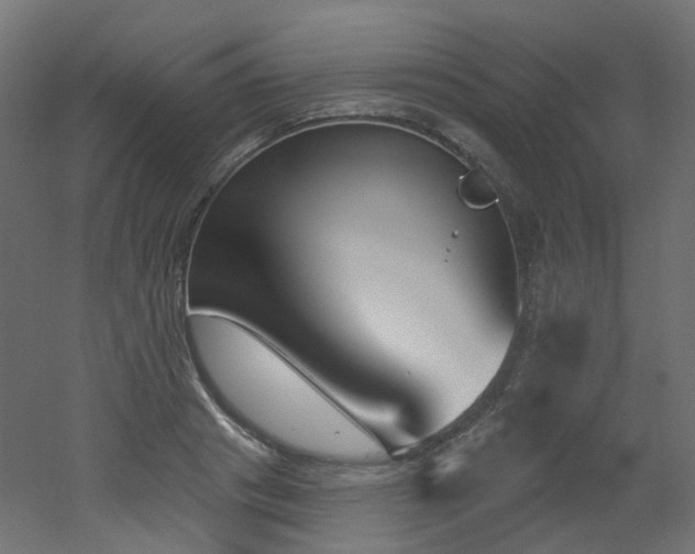 X0000051920841200506241507