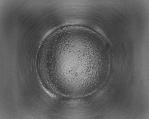 X0000051920842200506241507