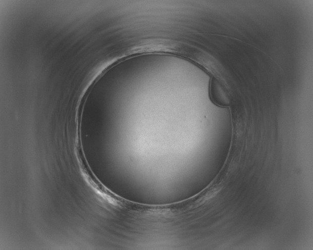 X0000051920844200506241507