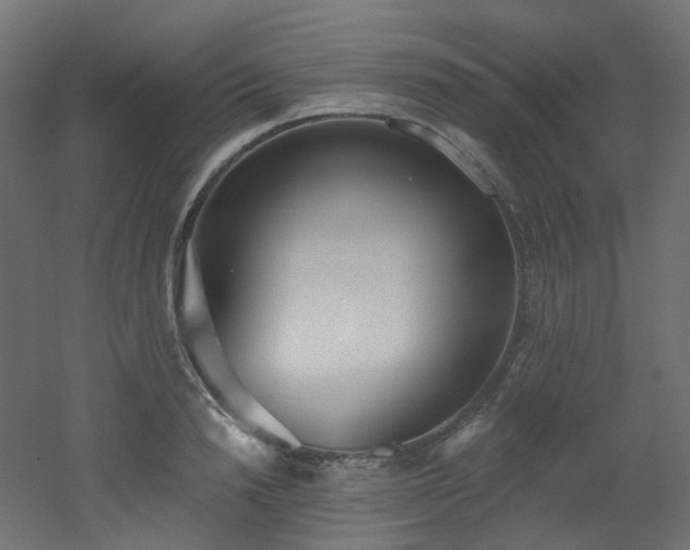 X0000051920846200506241507